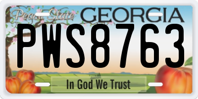 GA license plate PWS8763