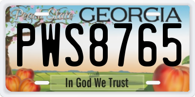 GA license plate PWS8765
