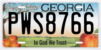 GA license plate PWS8766