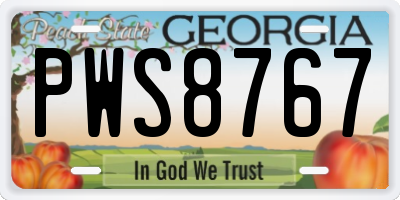 GA license plate PWS8767