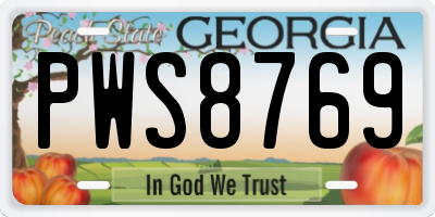 GA license plate PWS8769