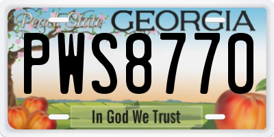 GA license plate PWS8770