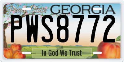 GA license plate PWS8772