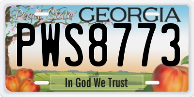 GA license plate PWS8773
