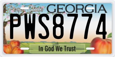GA license plate PWS8774