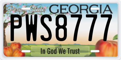GA license plate PWS8777