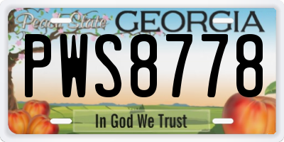 GA license plate PWS8778