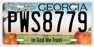 GA license plate PWS8779