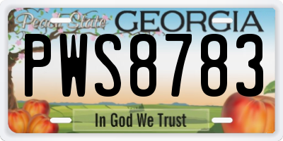 GA license plate PWS8783