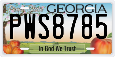 GA license plate PWS8785