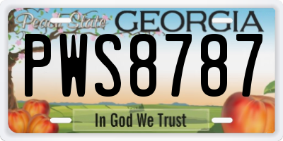 GA license plate PWS8787
