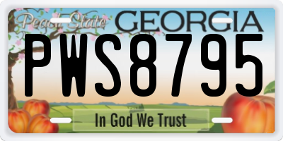 GA license plate PWS8795