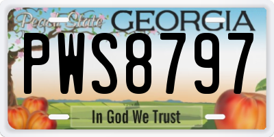 GA license plate PWS8797