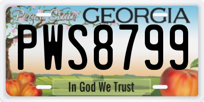 GA license plate PWS8799