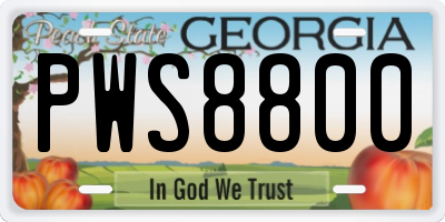 GA license plate PWS8800