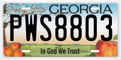 GA license plate PWS8803