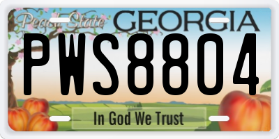 GA license plate PWS8804