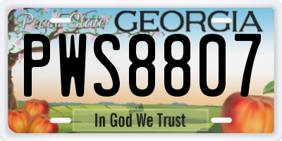 GA license plate PWS8807