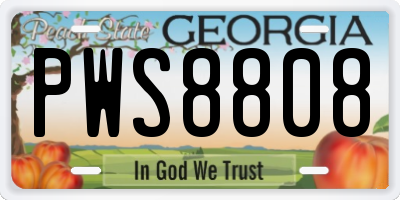 GA license plate PWS8808