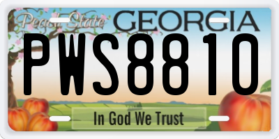 GA license plate PWS8810