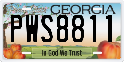 GA license plate PWS8811