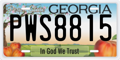 GA license plate PWS8815