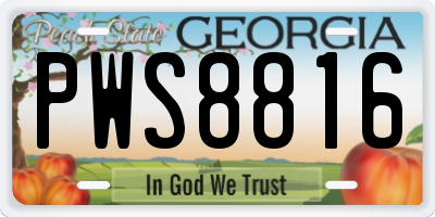 GA license plate PWS8816