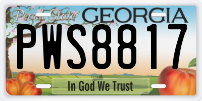 GA license plate PWS8817
