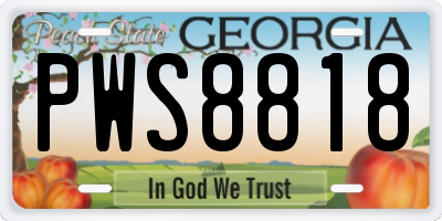 GA license plate PWS8818