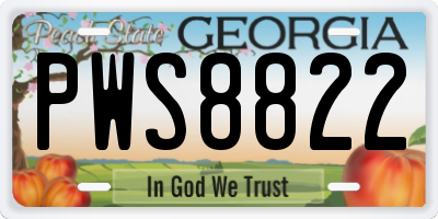 GA license plate PWS8822