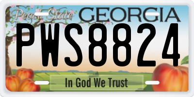 GA license plate PWS8824