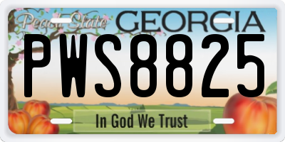 GA license plate PWS8825