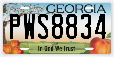 GA license plate PWS8834