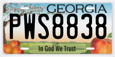 GA license plate PWS8838