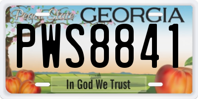 GA license plate PWS8841