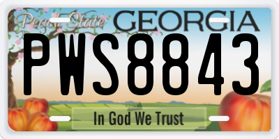 GA license plate PWS8843