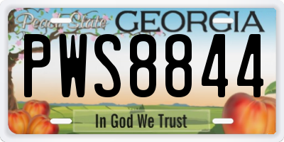 GA license plate PWS8844