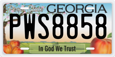GA license plate PWS8858
