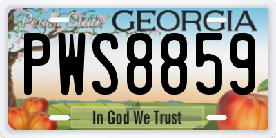 GA license plate PWS8859