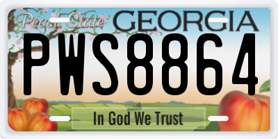 GA license plate PWS8864