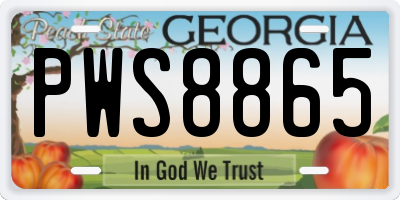 GA license plate PWS8865