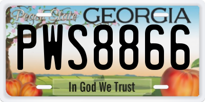 GA license plate PWS8866