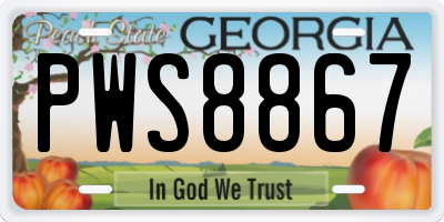 GA license plate PWS8867