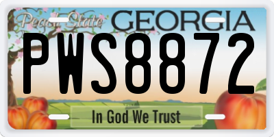 GA license plate PWS8872