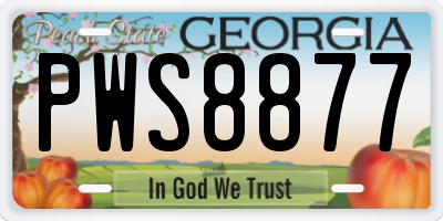 GA license plate PWS8877