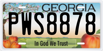 GA license plate PWS8878