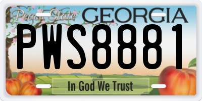 GA license plate PWS8881