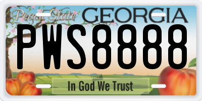 GA license plate PWS8888