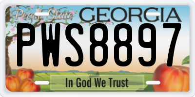 GA license plate PWS8897