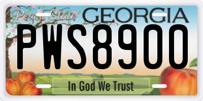 GA license plate PWS8900